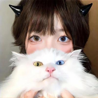 执行